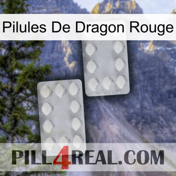 Red Dragon Pills 17